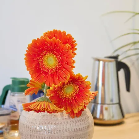 Renewed Alfama Gem With Ac, By Timecooler * Лиссабон