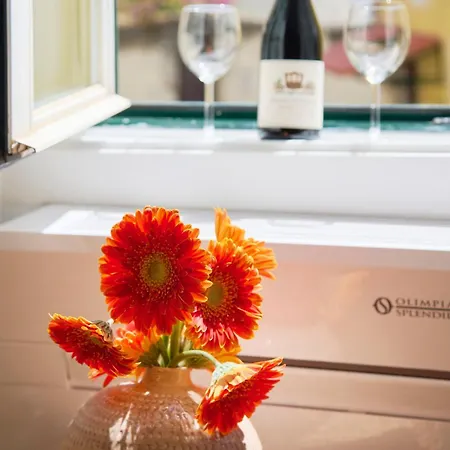 Renewed Alfama Gem With Ac, By Timecooler *